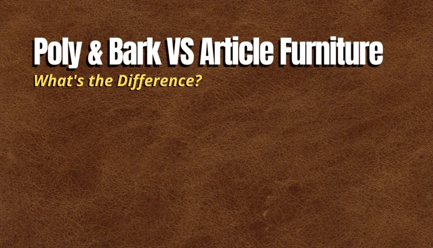 article vs poly and bark: Understanding the Core Characteristics