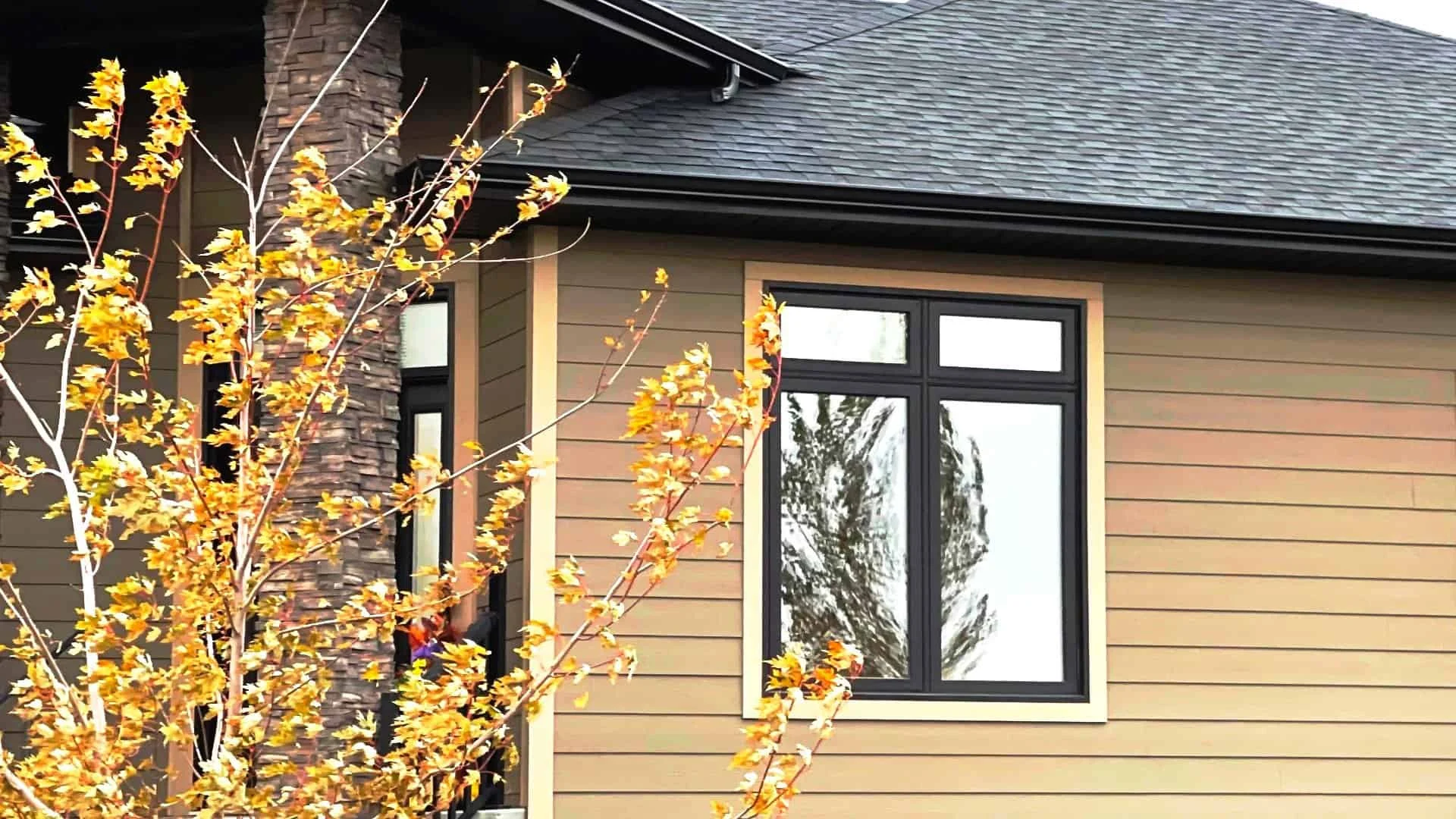 Bronze Windows vs Black Windows: Aesthetic Impact and Mood Creation