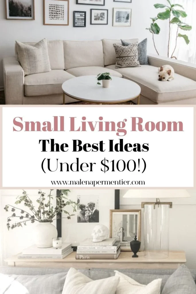 Budget Small Living Room Decorating Ideas: Multifunctional Accessories