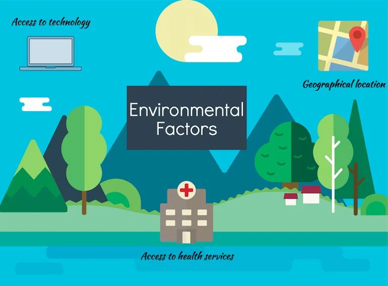 Causes and Environmental Factors