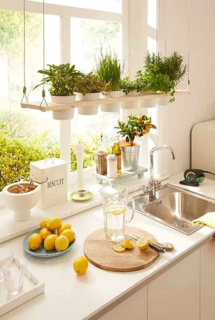 Choosing the Right Herbs for kitchen décor with plant herbs
