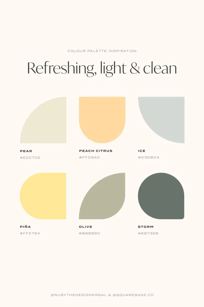 Color Palette Strategies for a Clean Look