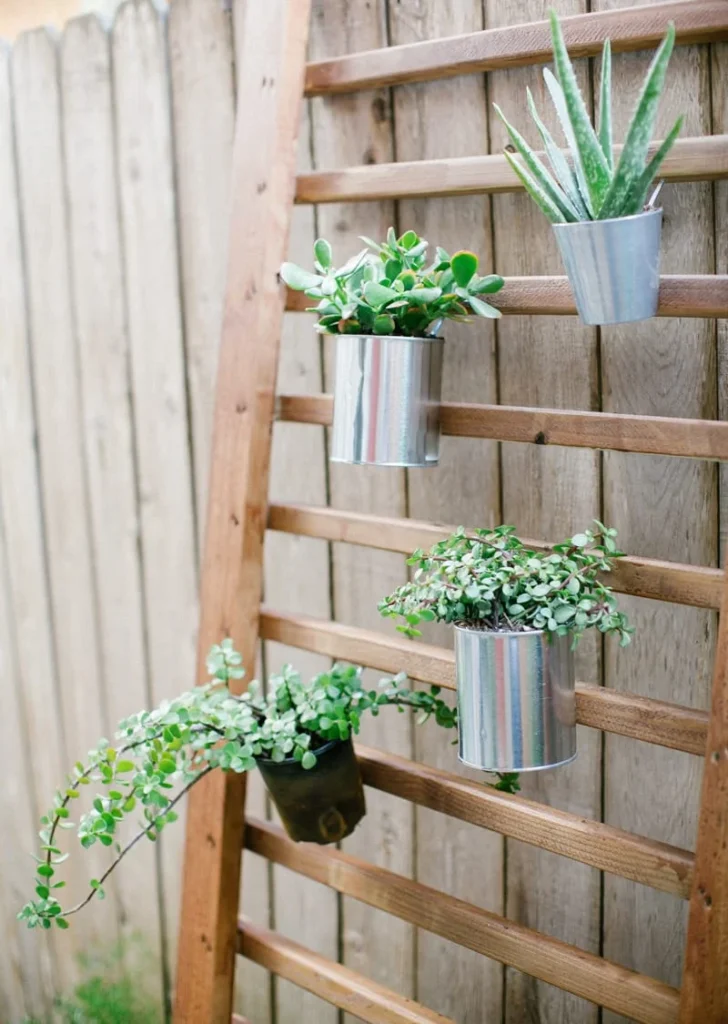 Creative DIY hanging plant décor ideas for outdoor & miscellaneous spaces