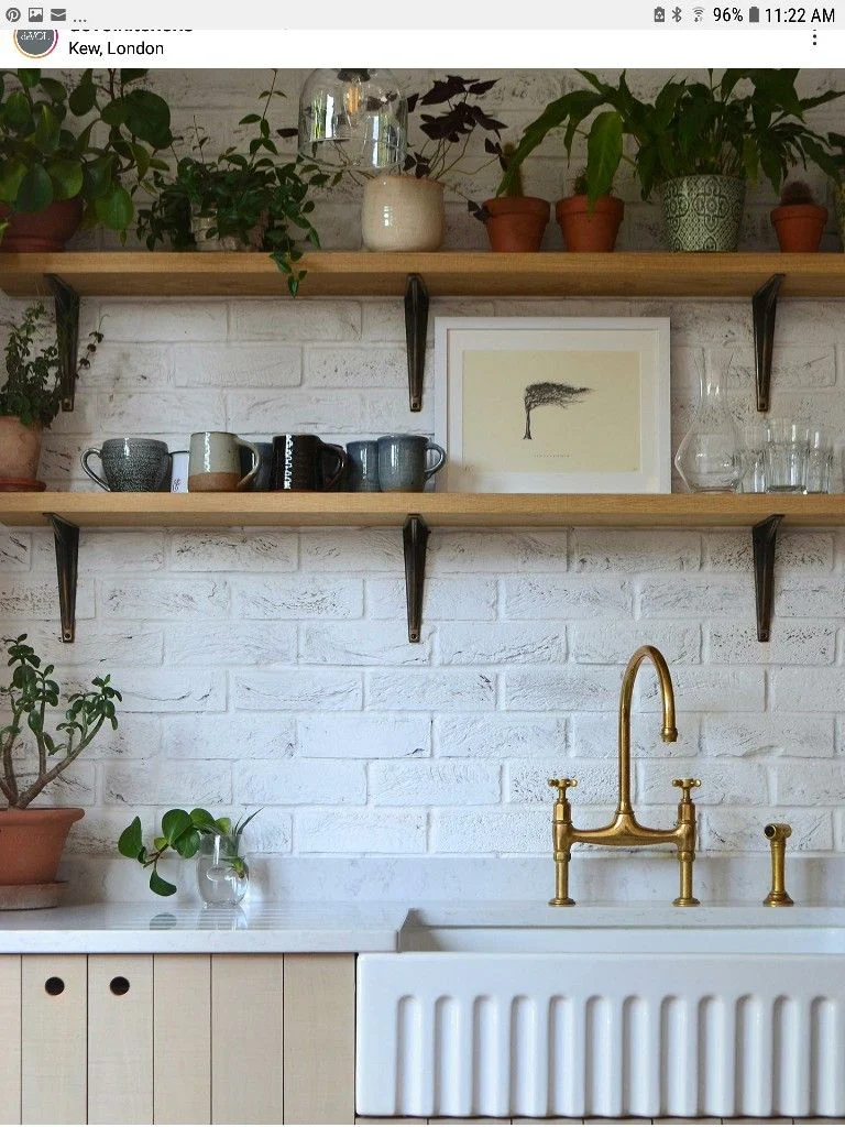 Design Principles for Small Kitchen Shelf Plant Styling