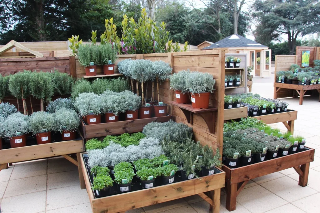 Designing Functional Herb Displays