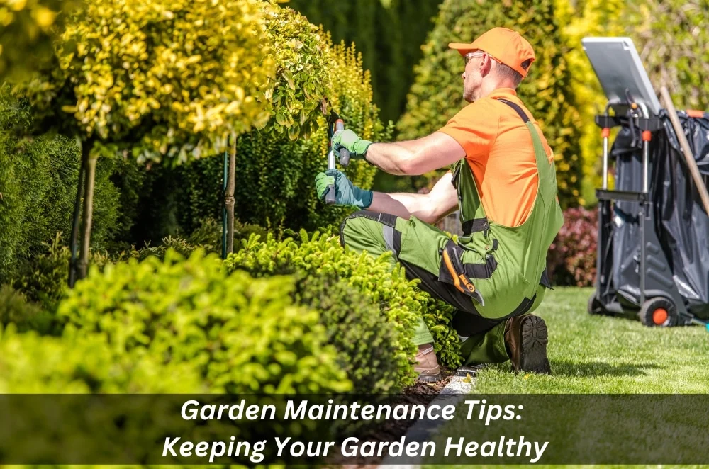 Disease Resistance and Maintenance: Keeping Your Garden Healthy