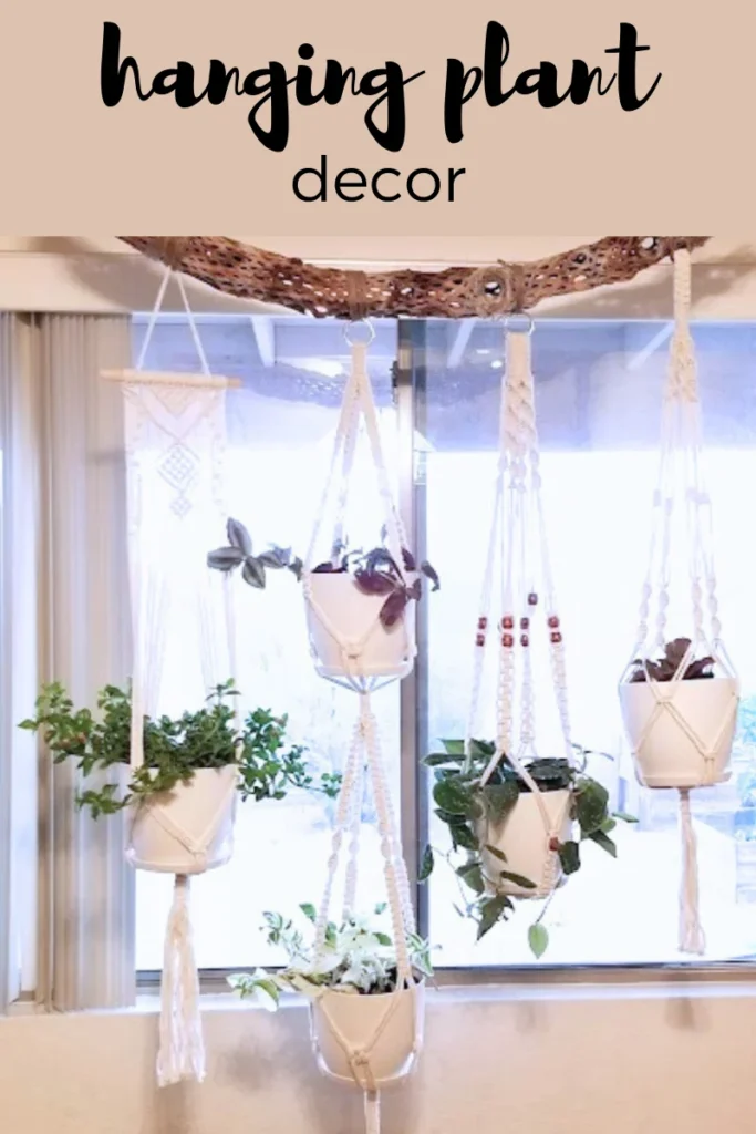 DIY hanging plant décor ideas: Choosing the right plants and materials
