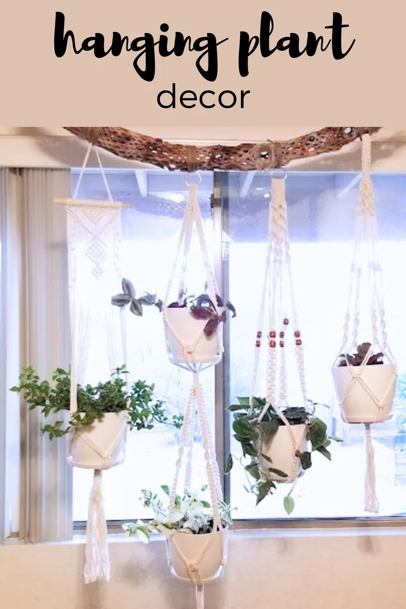 DIY hanging plant décor ideas: Choosing the right plants and materials
