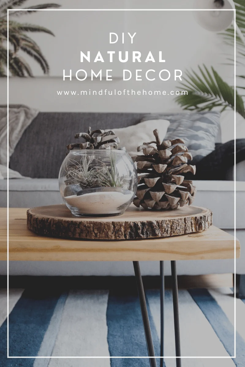 DIY Natural Décor Inspiration: Foundations for a Sustainable Home