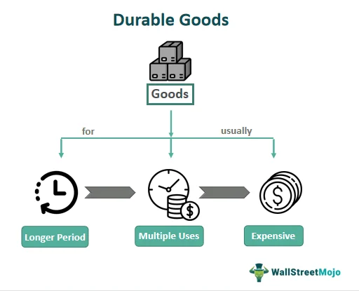 Durability and Long‑Term Value