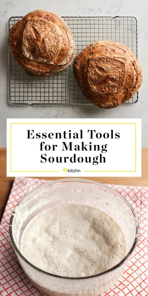 Essential Tools and Ingredients