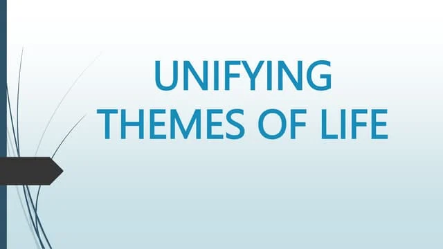 Establish a Unifying Design Theme