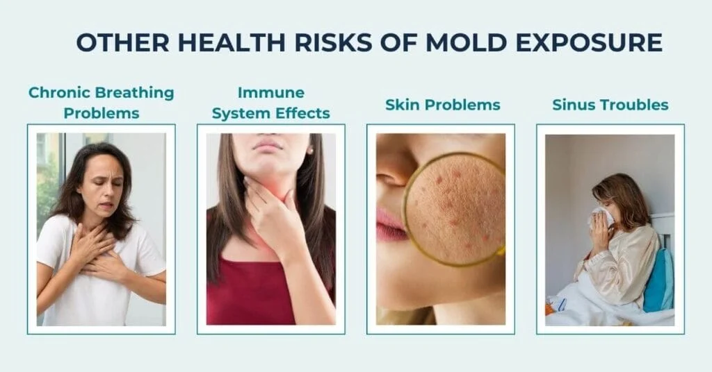 Health Risks Associated with Moldy Swimwear