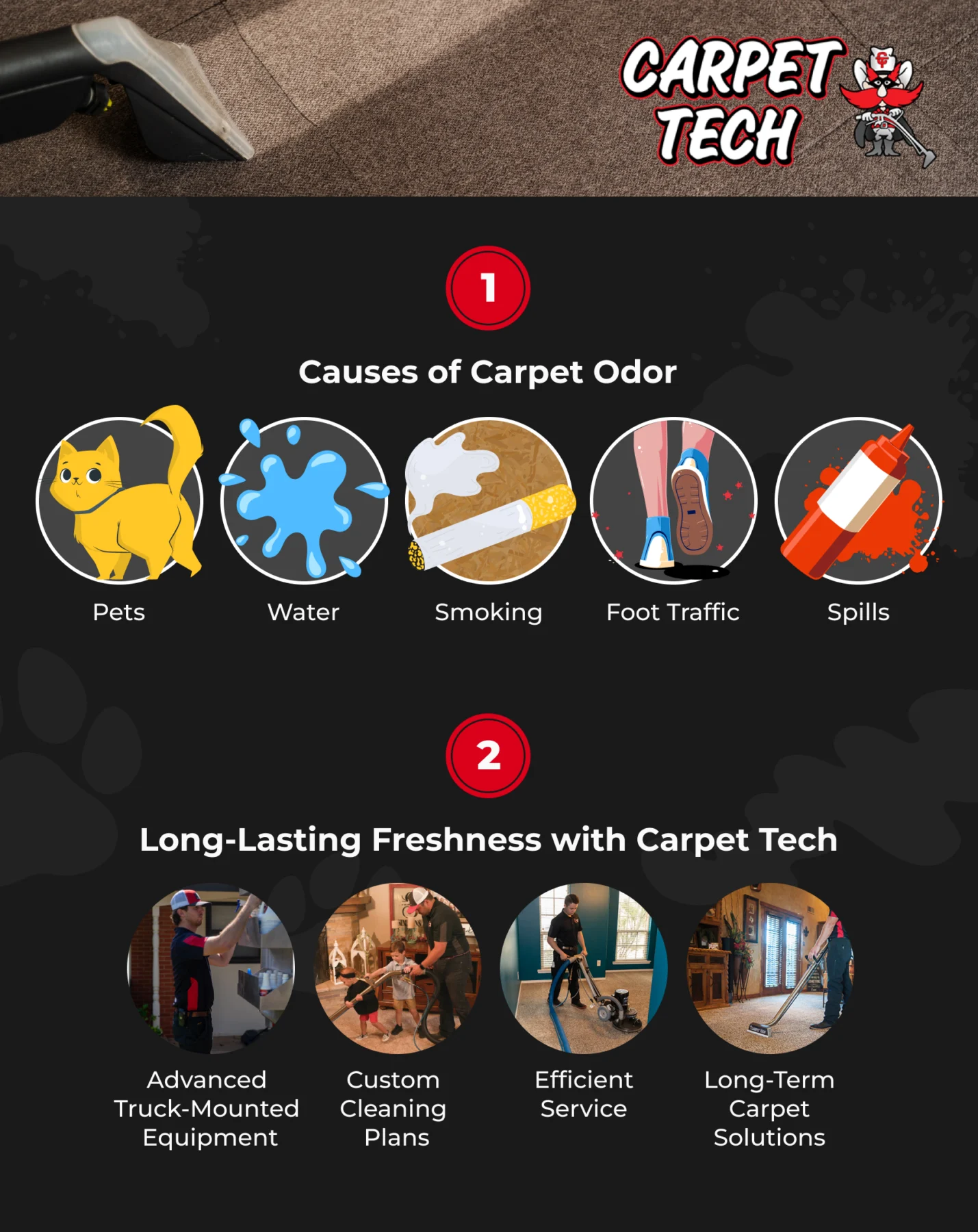 How to Eliminate Carpet Odor: Identifying the Root Causes