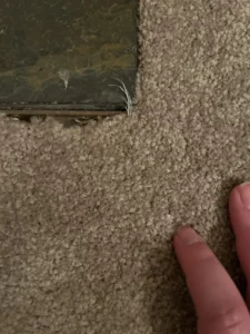 How to Fix Fraying Carpet: Assessing the Damage and Choosing the Right Method