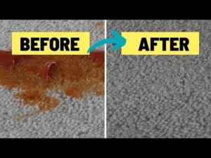 How to Get Marinara Sauce Out of Carpet: Immediate First‑Aid Steps