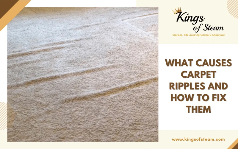 Identify the Common Causes of Carpet Bumps
