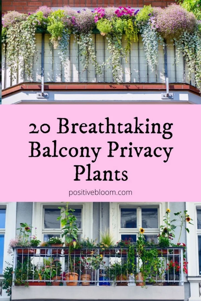 Incorporating Greenery: Plants That Thrive on Small Balconies