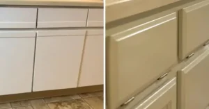 insl x cabinet coat vs benjamin moore advance: Performance Overview