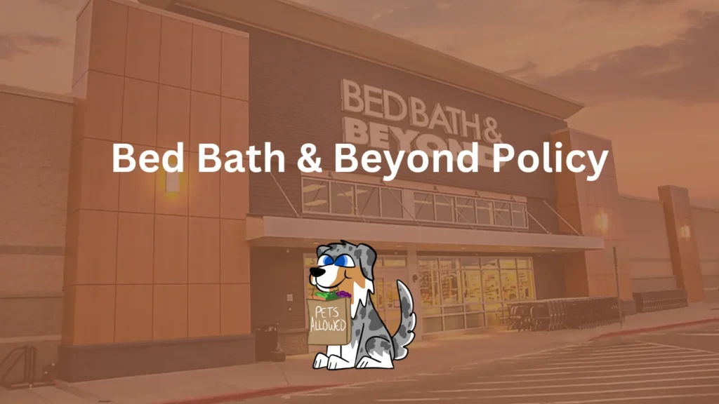 Is Bed Bath & Beyond Pet Friendly? What the Official Policy States