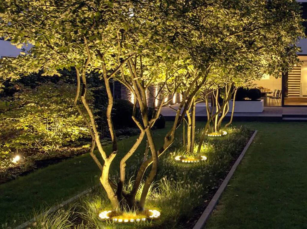 Key Factors to Evaluate When Selecting the Best Lights for Uplighting Trees