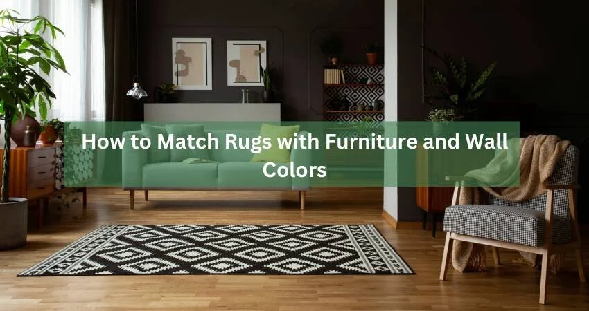 Matching Rug Colors with Wall Paint and Furniture