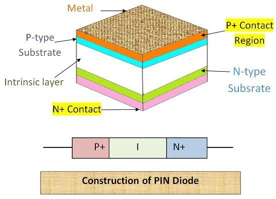 Material & Construction: What Sets Them Apart