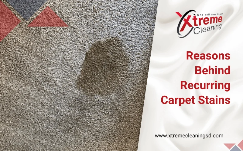 Medical Reasons Behind Carpet Scratching