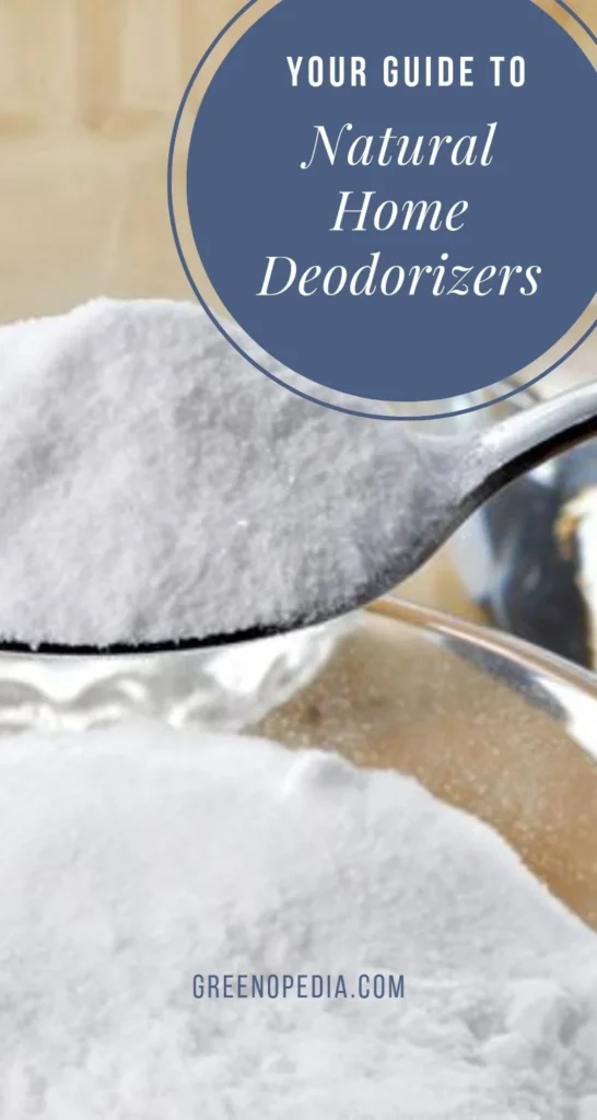 Natural Deodorizers and Home Solutions