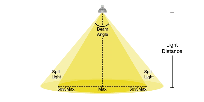 Performance and Light Quality: Brightness, Beam Angle, and Color Rendering