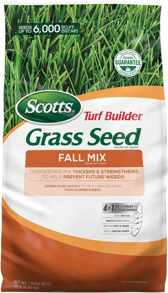 rebels tall fescue vs scotts making the right choice for your lawn: An Overview