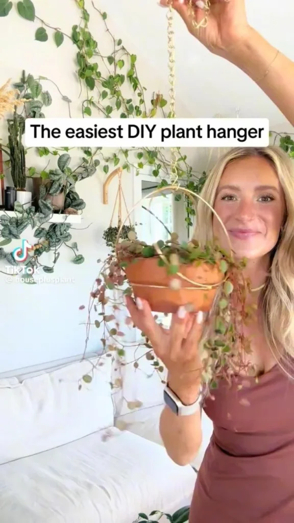 Room‑by‑room DIY hanging plant décor ideas