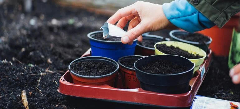 schultz plant food vs miracle gro nourishing your garden: Understanding Plant Nutrition Basics