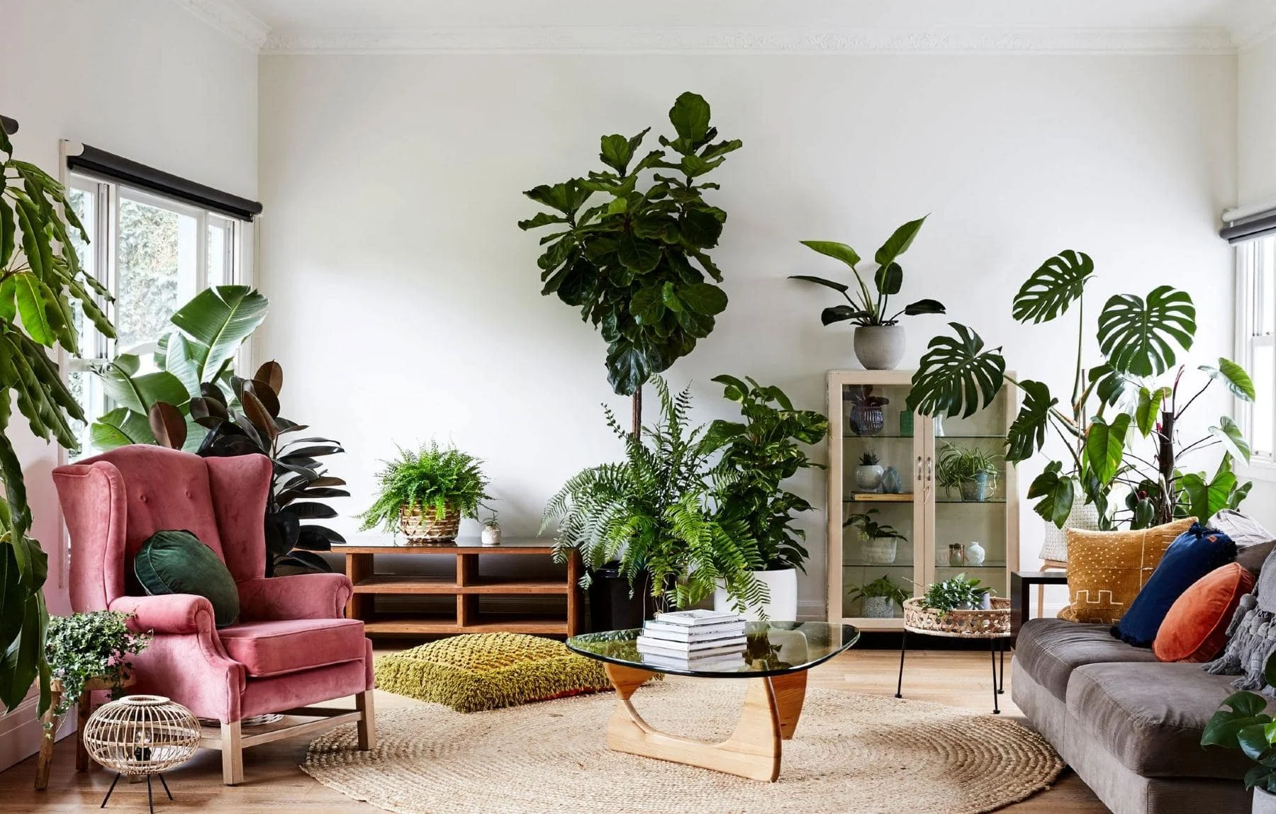 Simple Modern Home Décor with Plants: Living Room Strategies