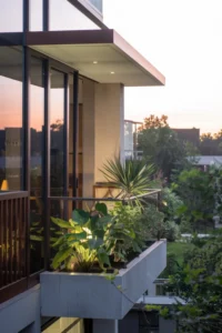 small balcony plant décor: assessing space and light