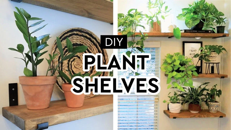 Styling Tips to Elevate Your Wooden Plant Shelves