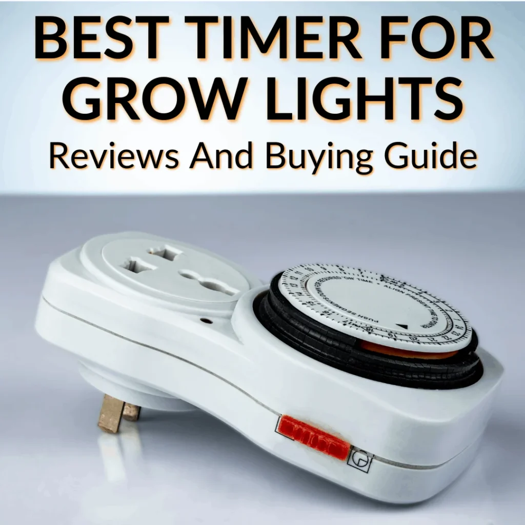 Top Types of Timers for Grow Lights