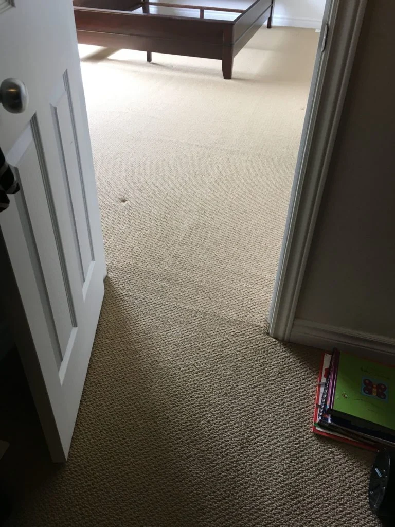 Understanding Carpet Bumps and Why They Occur