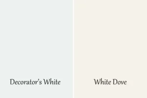 Understanding decorators white vs white dove – The Basics