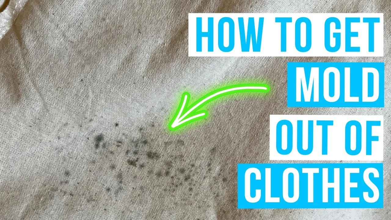Understanding Mold on Bathing Suits: What Causes It?