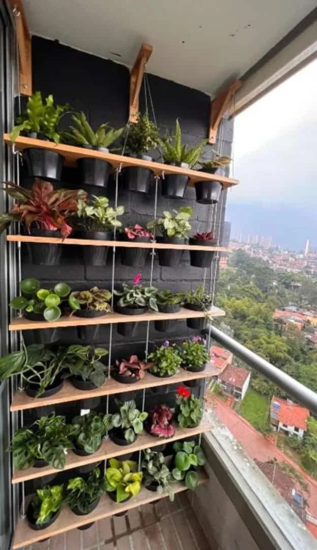 Understanding the Basics of Balcony Plant Shelf Styling