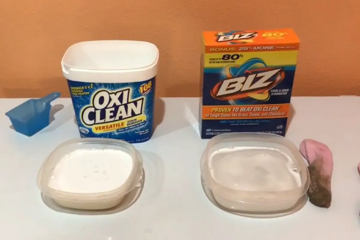 Understanding the Core Formulas: Biz vs OxiClean