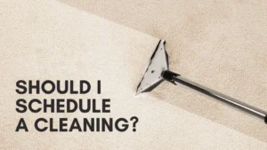 Understanding the Risk: How to Disinfect Carpet for COVID