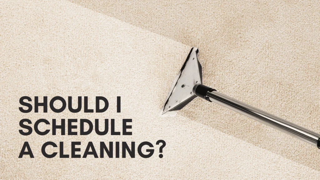 Understanding the Risk: How to Disinfect Carpet for COVID