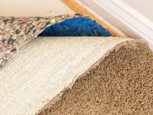 what is underneath carpet: The Basic Layer Cake