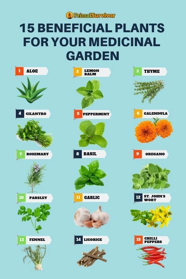 Which Plants Benefit Most?