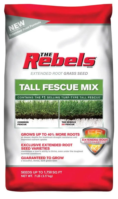 Why Choose Rebels Tall Fescue?